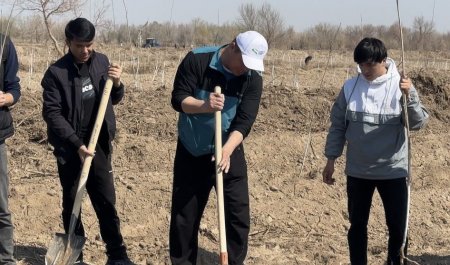 «Yangi O‘zbekiston» bog‘iga mevali va manzarali daraxt ko‘chatlari o‘tkazildi